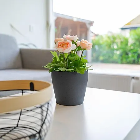 Holiday home Toekomst 103 - - Not For Companies Ouddorp